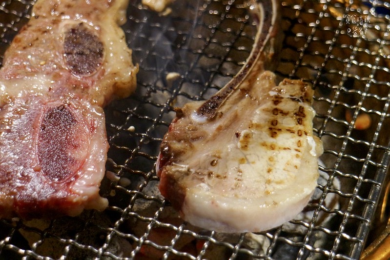 台中西區｜寵物友善首選、和牛干貝生蠔高檔食材任你點！台中燒肉