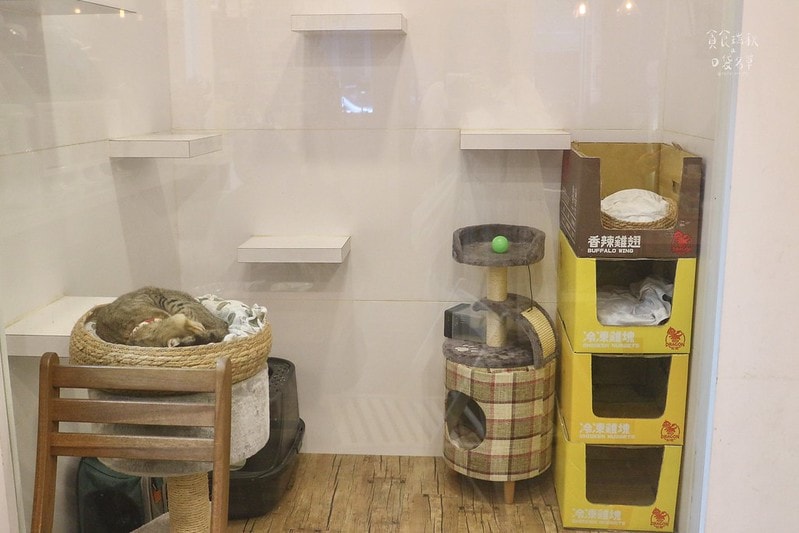 台中北區｜科博館附近，濃郁有機豆漿、平價豐富早午餐，還可以盡